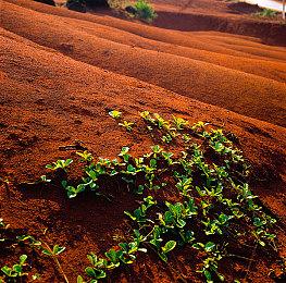 《恐怖美术馆》重制版现已添加中文 新增成就功能